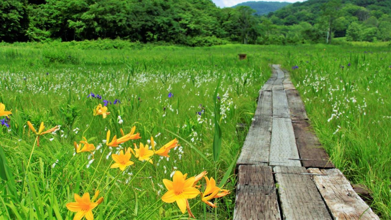 Blueberry Pension Madarao Iiyama Exterior foto